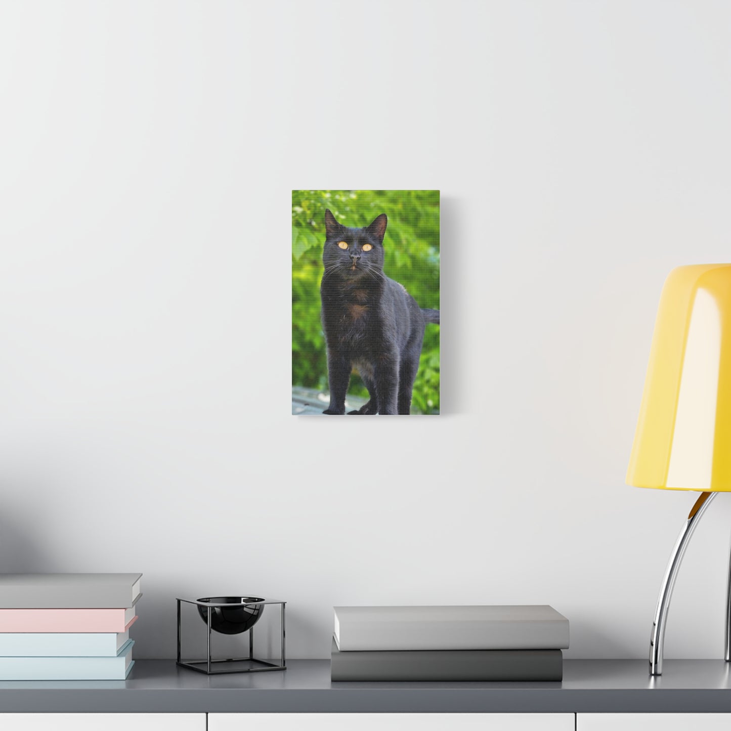 Louie the Cat Canvas